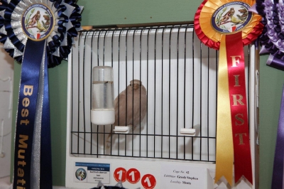 5th Annual Show_11
