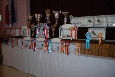 Annual show 2014_3