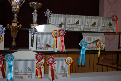 Annual show 2014_7