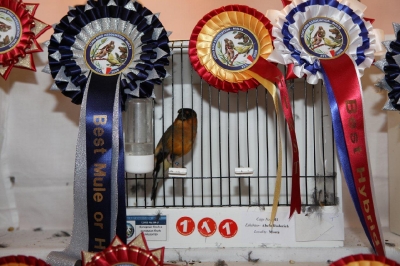 5th Annual Show_4