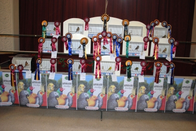 Best in show section_3