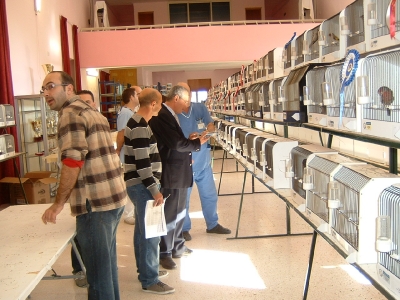 3rd Annual Show-Attard_13