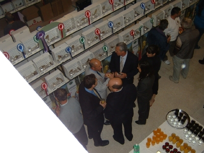 3rd Annual Show-Attard_21