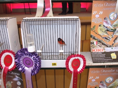 3rd Annual Show-Attard_4