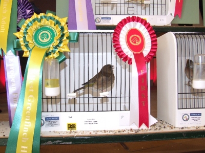 3rd Annual Show-Attard_5