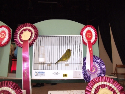 3rd Annual Show-Attard_7