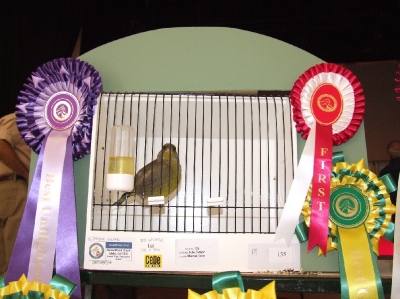 3rd Annual Show-Attard_9