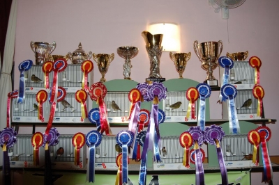4th Annual Show_2