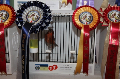 5th Annual Show_10