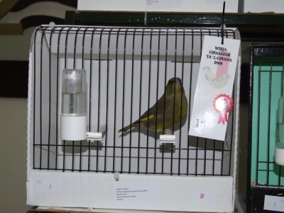 February 2008 annual show_1
