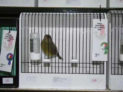 February 2008 annual show_3