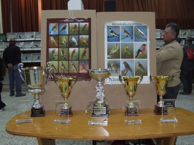 February 2008 annual show_4
