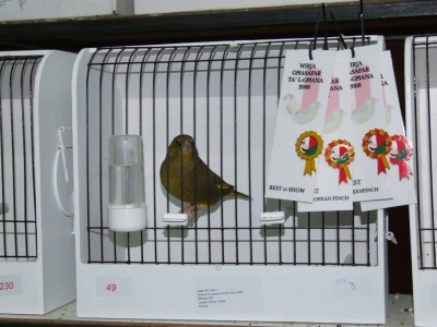 February 2008 annual show_8