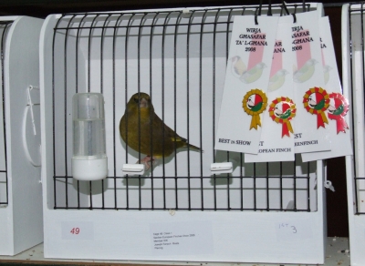 February 2008 annual show_9