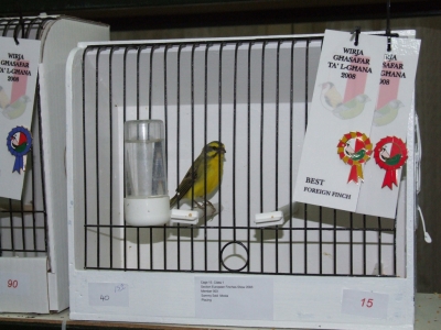 February 2008 annual show_11