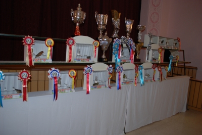 Annual show 2014_2