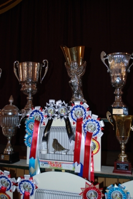 Annual show 2014_4