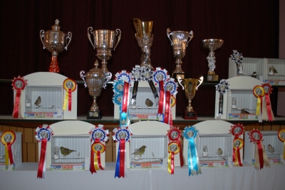 Annual show 2014_9