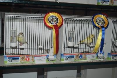 Annual show 2014_19