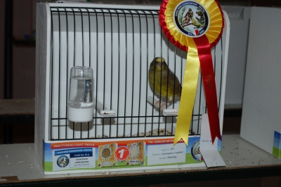Annual show 2014_20