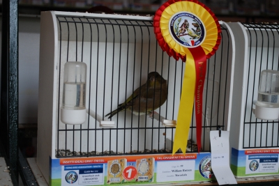 Annual show 2014_29