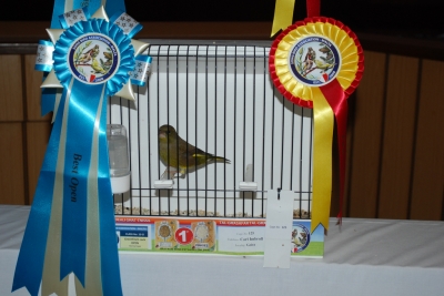 Annual show 2014_46