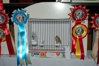 Annual show 2014_51