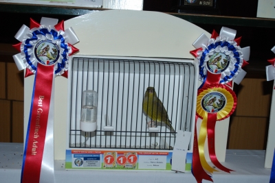 Annual show 2014_53