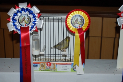 Annual show 2014_55