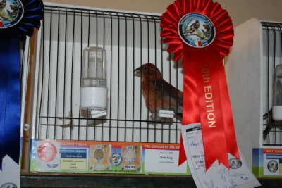 Annual Show November 2016_2