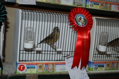 Annual Show November 2016_3