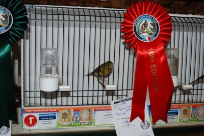 Annual Show November 2016_7
