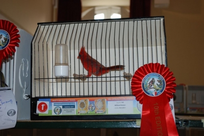 Annual Show November 2016_8