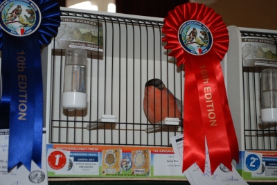 Annual Show November 2016_12