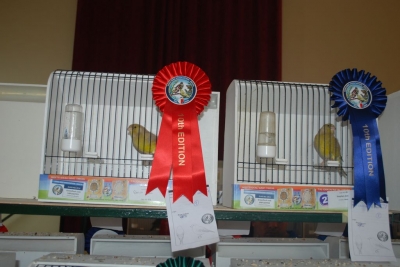 Annual Show November 2016_17