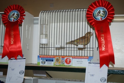 Annual Show November 2016_18