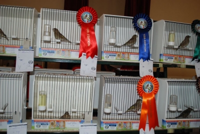 Annual Show November 2016_20