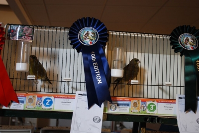 Annual Show November 2016_26