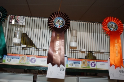 Annual Show November 2016_27