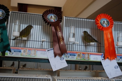 Annual Show November 2016_28