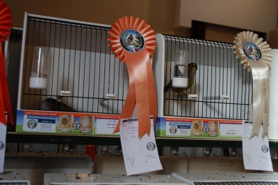 Annual Show November 2016_31
