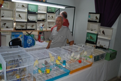 Annual show November 2016_2