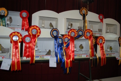 Annual show November 2016_5