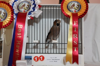 5th Annual Show_16