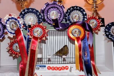 5th Annual Show_30