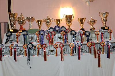 5th Annual Show_31