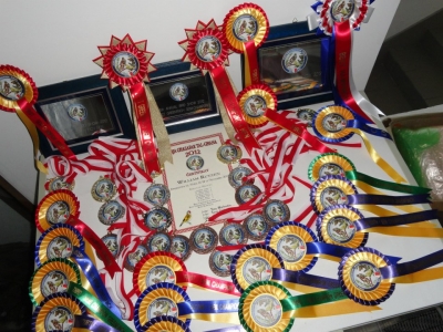 December 2012 table show_2