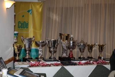 Presentation dinner 2012_12