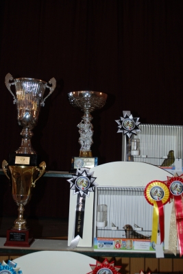 Annual show 2014_6