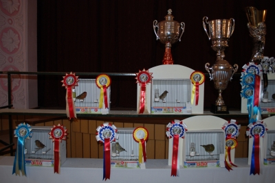 Annual show 2014_8